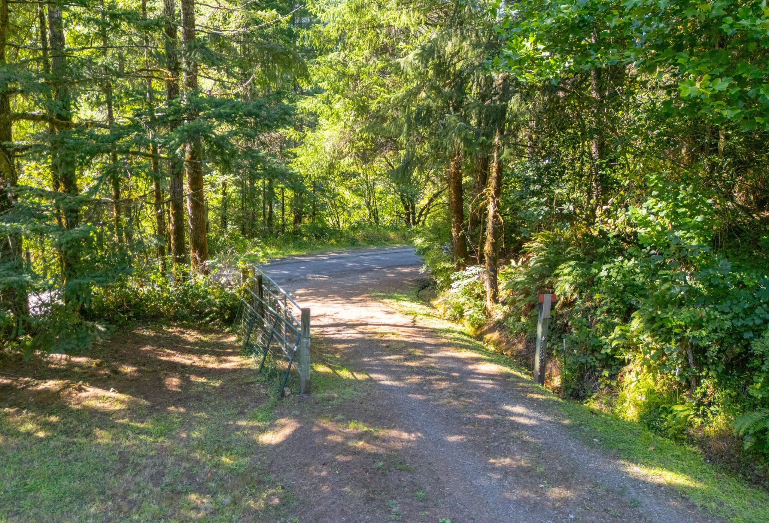 Photo 18 of Sitka Woodland, 35.37 acres, Lincoln County, Oregon