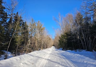 974 20 Emery Farm Road looking east