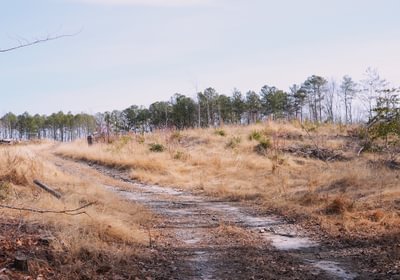 975 Church Hill pic15