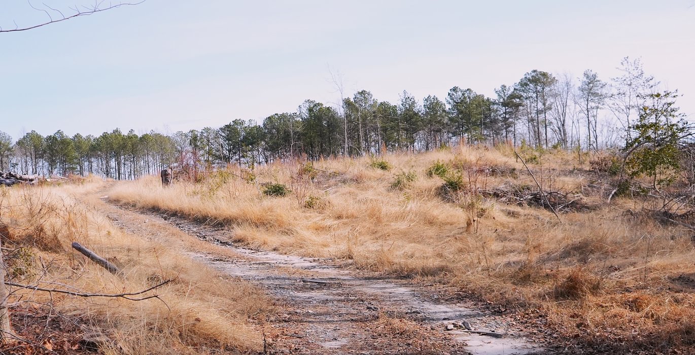 975 Church Hill pic15