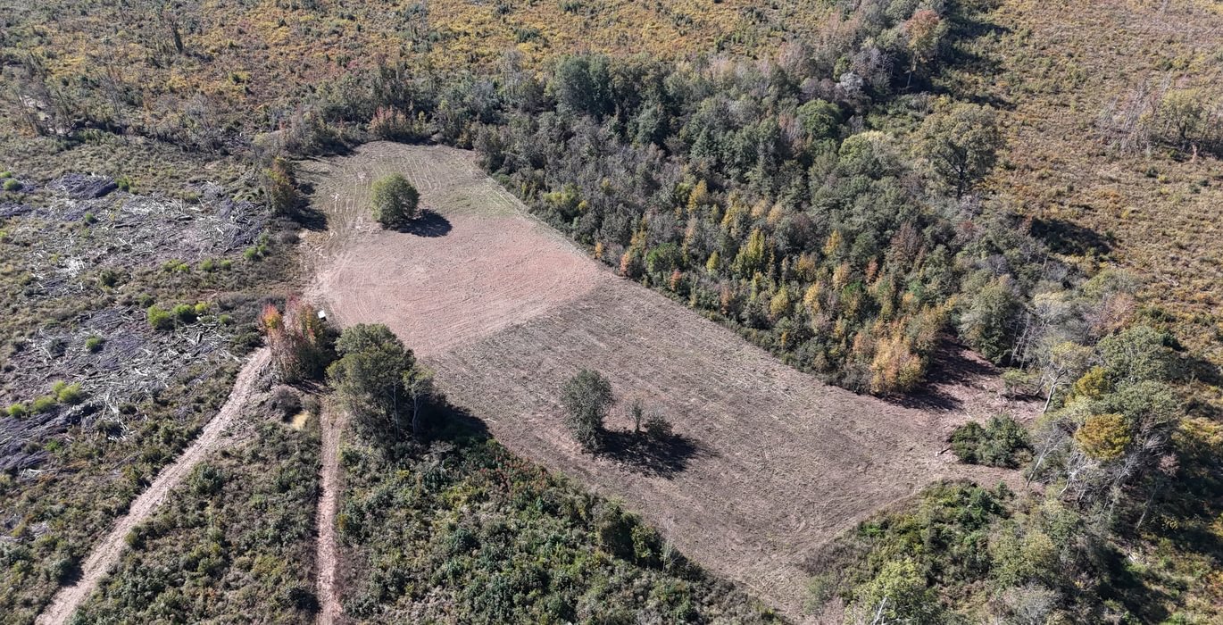 975 DJI 20251021112939 0016 D