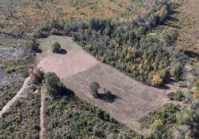 975 DJI 20251021112939 0016 D