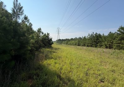 975 IMG 0081