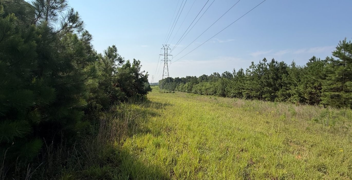 975 IMG 0081