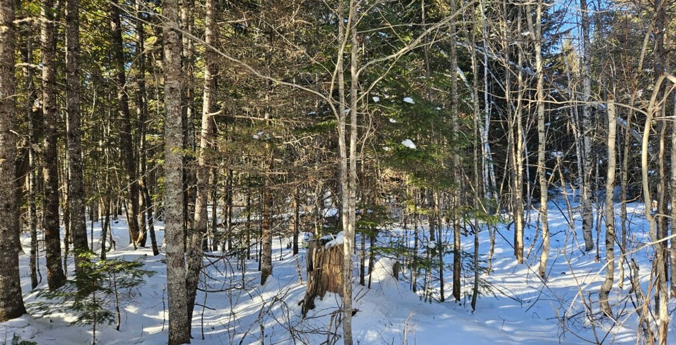 976 4 Lot off Woods Road 2