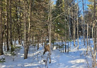 976 4 Lot off Woods Road 2