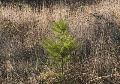 977 Chat GPT Image Jan 13 2026 at 05 36 13 PM