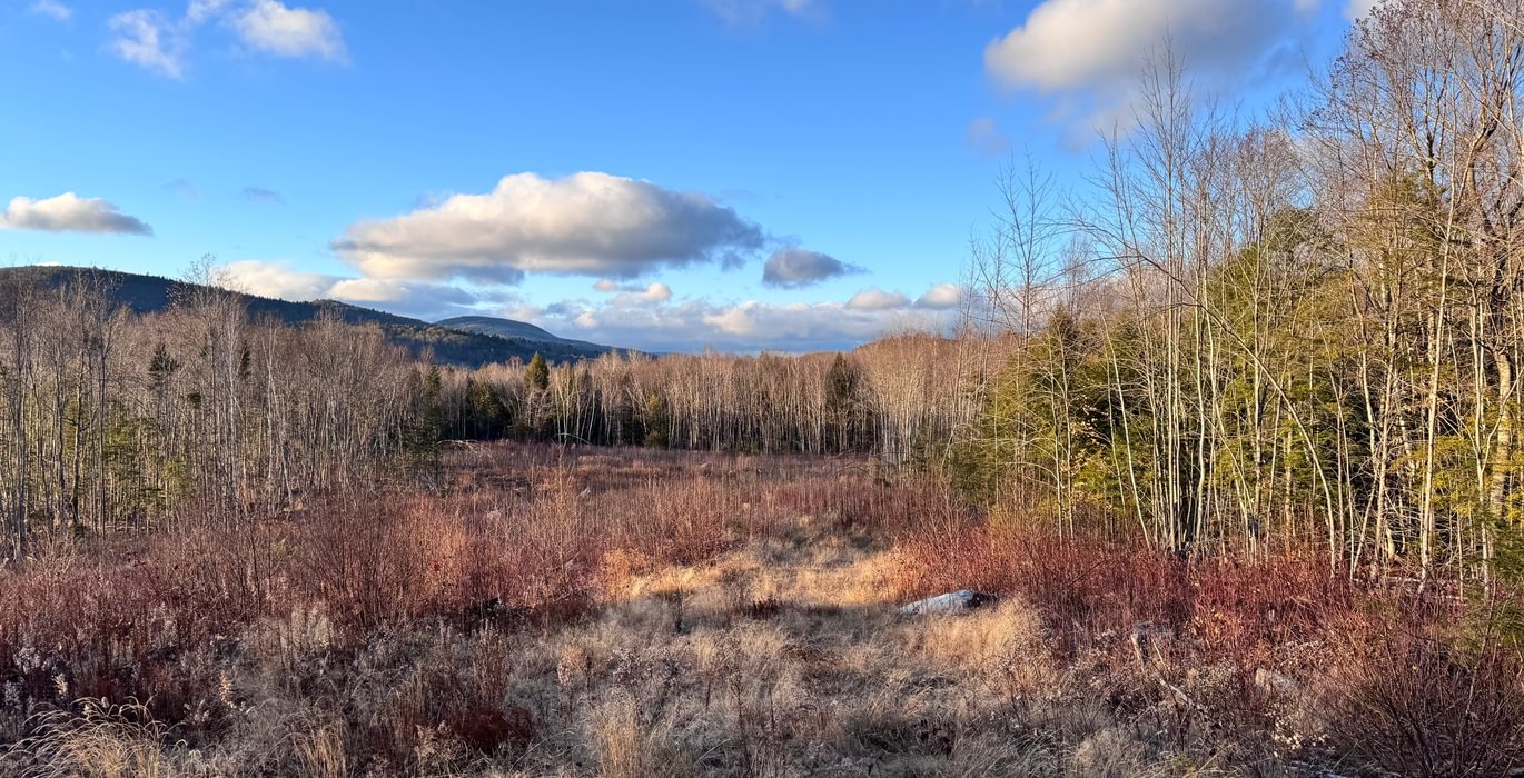 977 Overview of lot 2