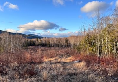 977 Overview of lot 2