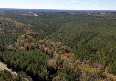 978 AFM Bladen 339 Photo 10