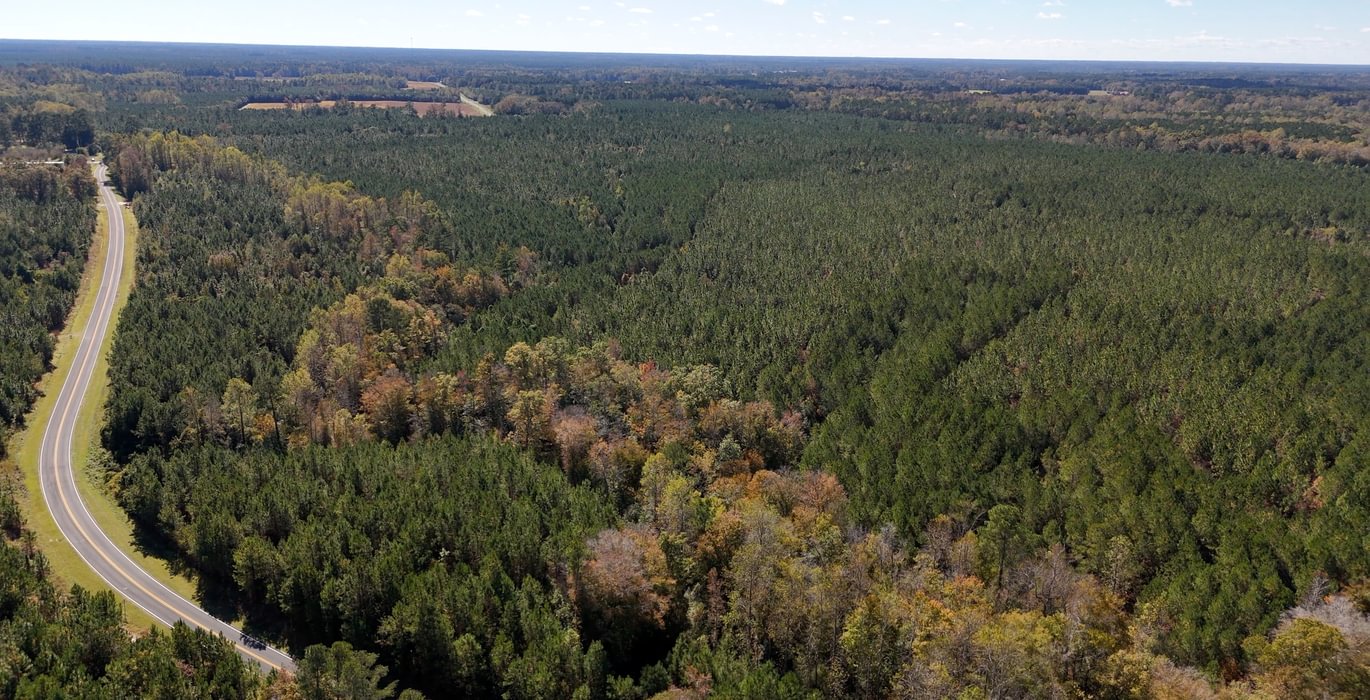 978 AFM Bladen 339 Photo 10