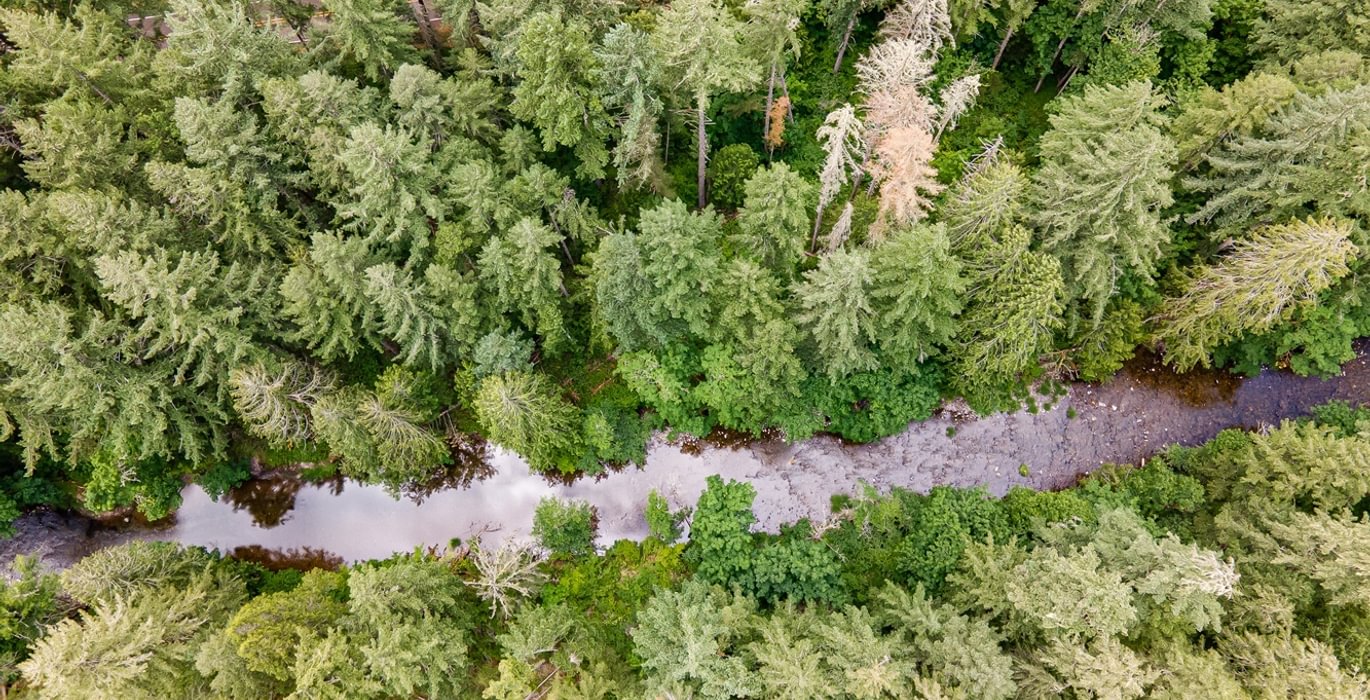 978 DJI 0690 HDR25