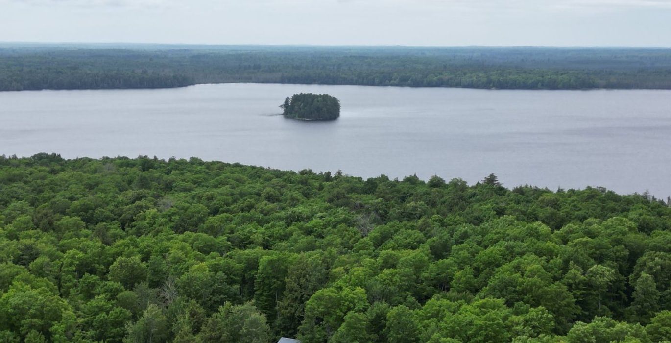978 perchlake 35