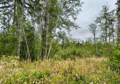 979 IMG 20260708 103733523 HDR
