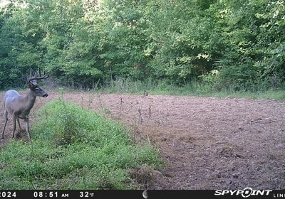 979 Image 14