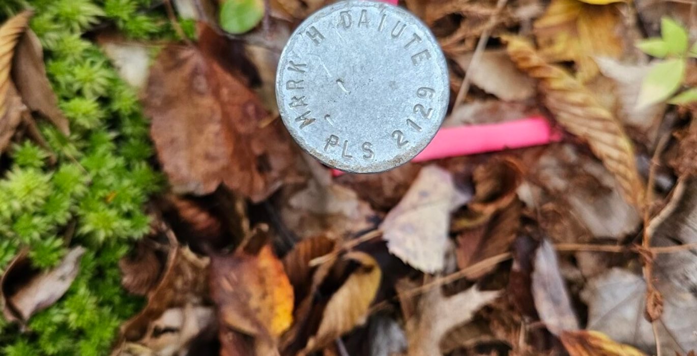 979 Surveyors pin 2
