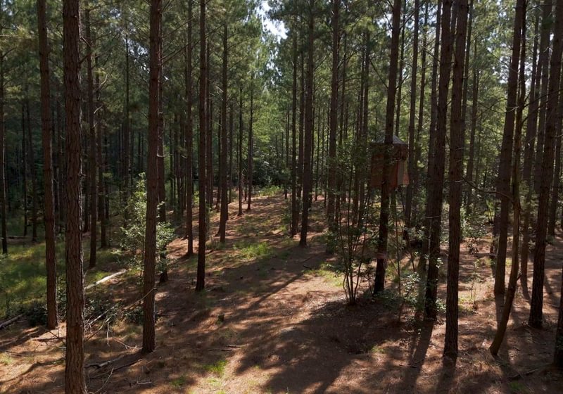 980 Cabin Creek Photo 36