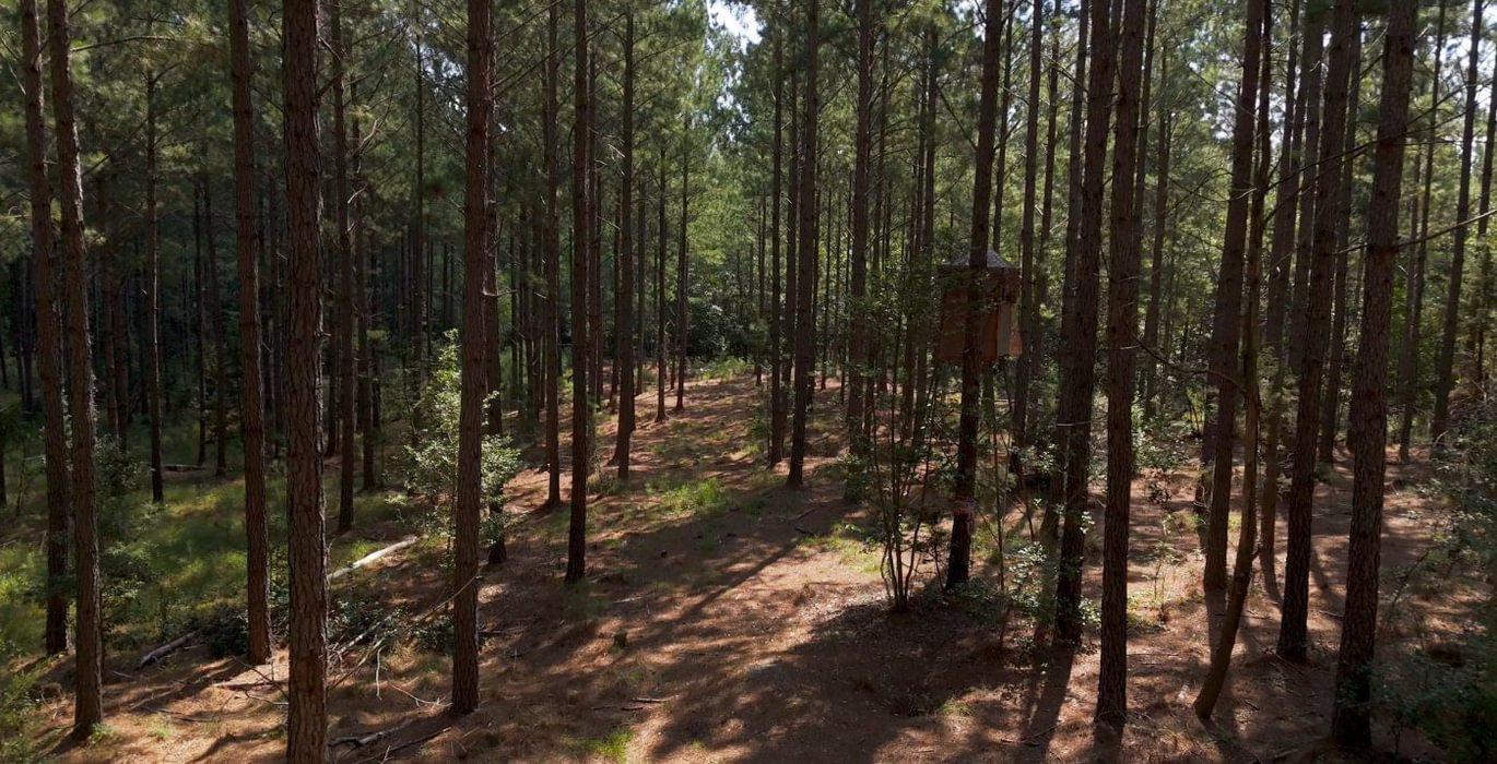 980 Cabin Creek Photo 36