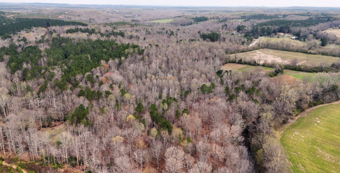 980 AFM West Fork 85 Photo 29