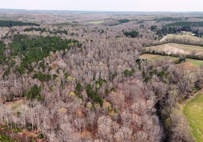 980 AFM West Fork 85 Photo 29