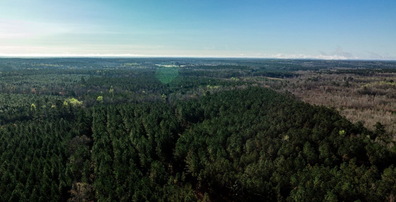 982 AFM Pines at Devereux 20