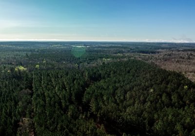 982 AFM Pines at Devereux 20