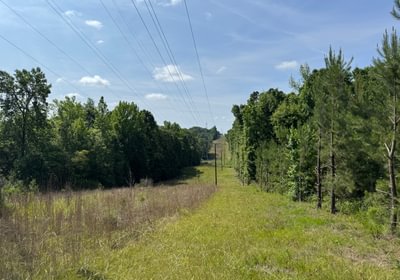 982 IMG 7583
