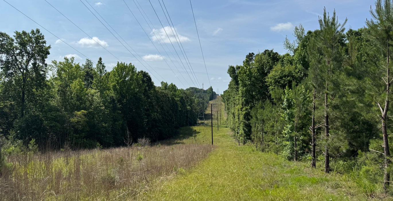 982 IMG 7583