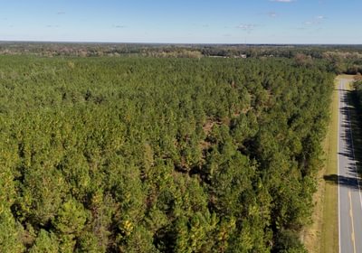 983 AFM Bladen 339 Photo 19