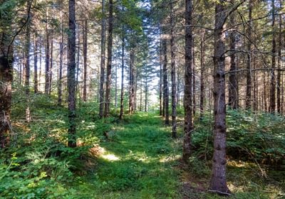 983 DJI 0910 HDR25