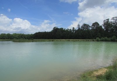 983 IMG 1080