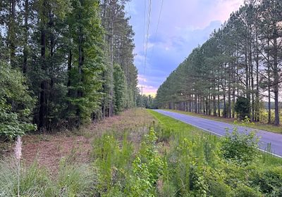 984 IMG 1231