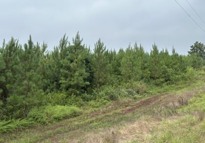 984 IMG 7004