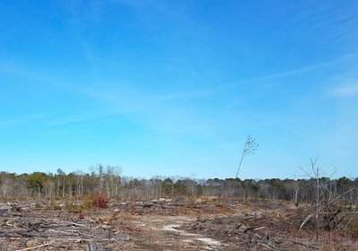 985 Church Hill pic13