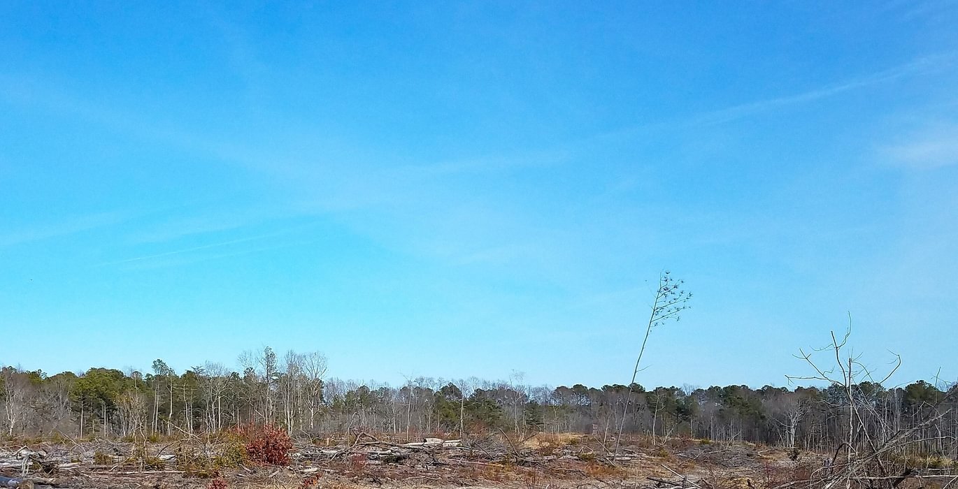 985 Church Hill pic13