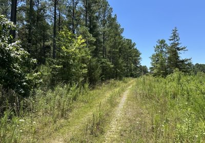 985 rd IMG 5779