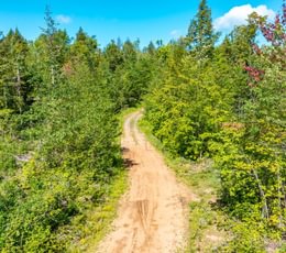 986 20260910 Horseshoe Lake Trina 25