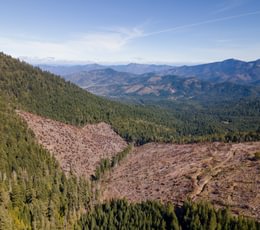 988 DJI 0881 HDR Merge