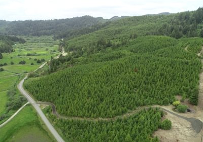 98 DJI 0134