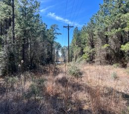 990 IMG 2062