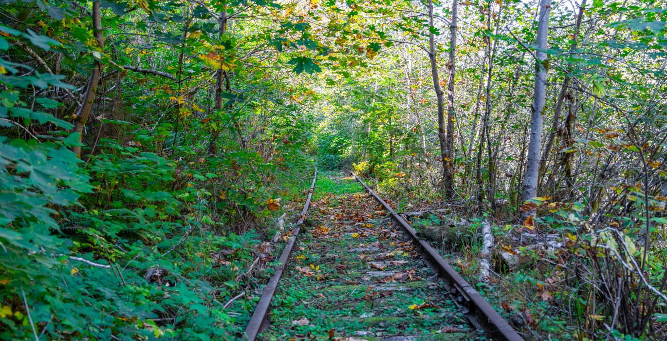 990 train tracks
