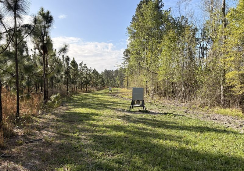 Photo 9 of Old Poor Robin Sportsman Tract 2, 24.6 acres, Screven County, Georgia