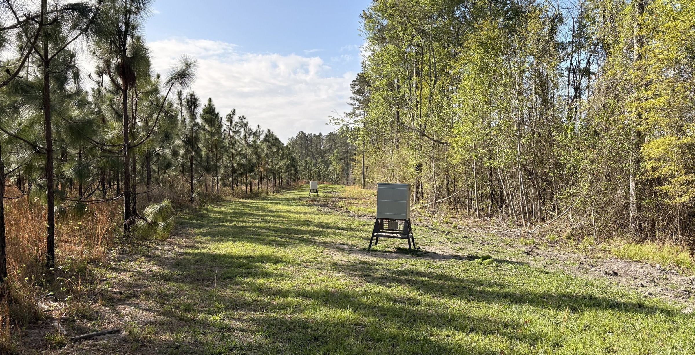 Photo 9 of Old Poor Robin Sportsman Tract 2, 24.6 acres, Screven County, Georgia