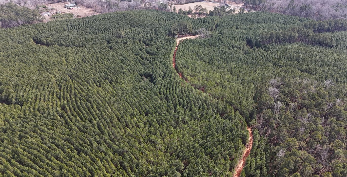 992 DJI 20260129131529 0139 D