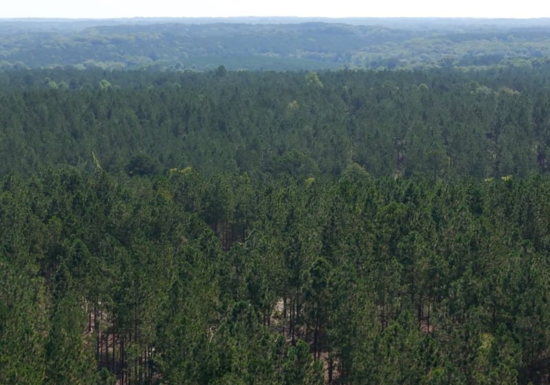 993 Cabin Creek Photo 16