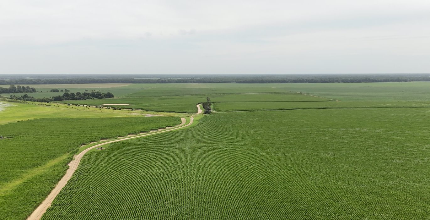 995 DJI 20250618152154 0179 D