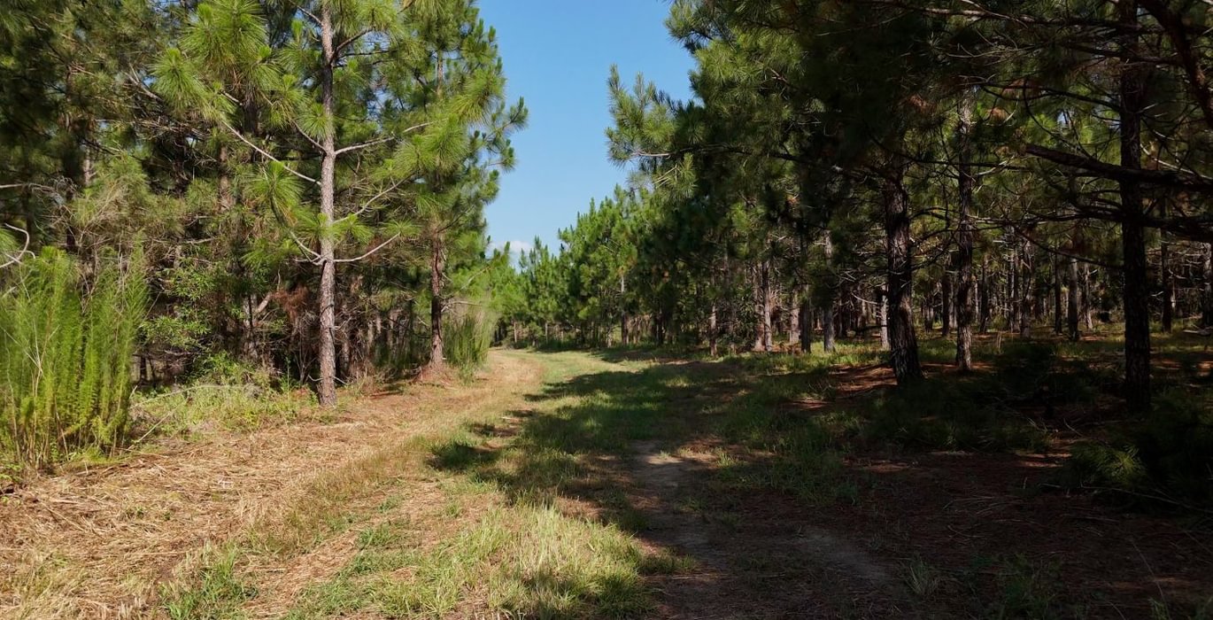 995 Longleaf Mecca Photo 19