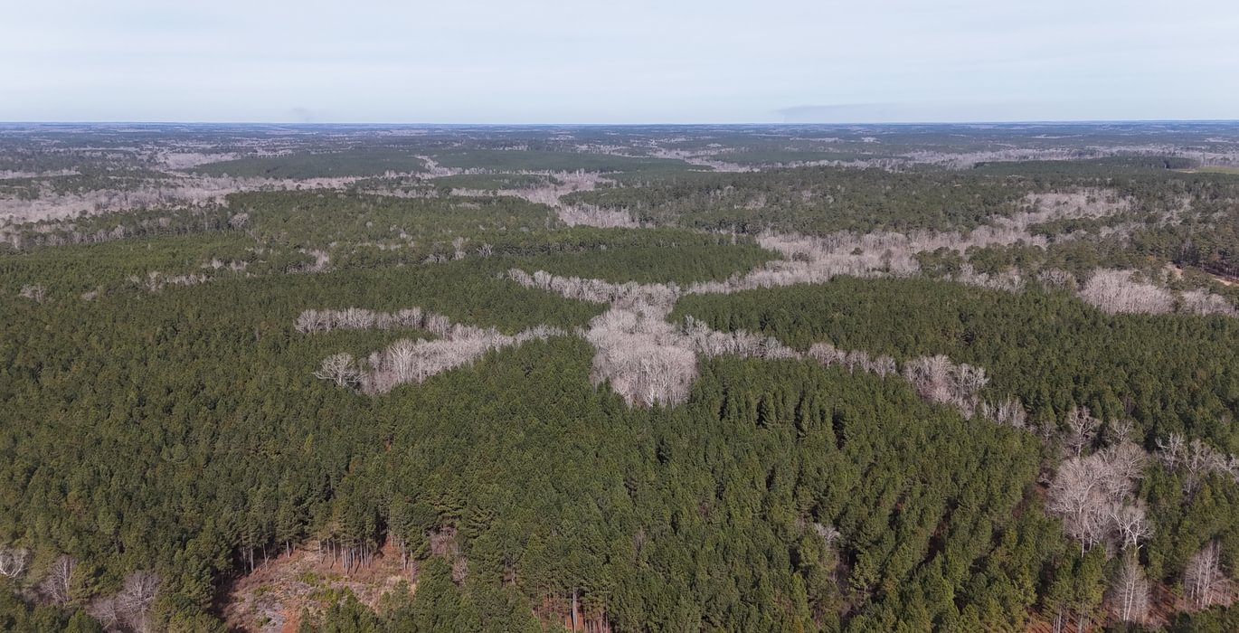 996 DJI 20260129114411 0130 D