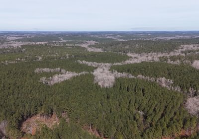 996 DJI 20260129114411 0130 D