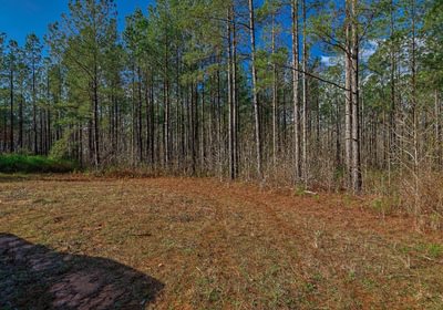 997 AFM Pines at Devereux 8